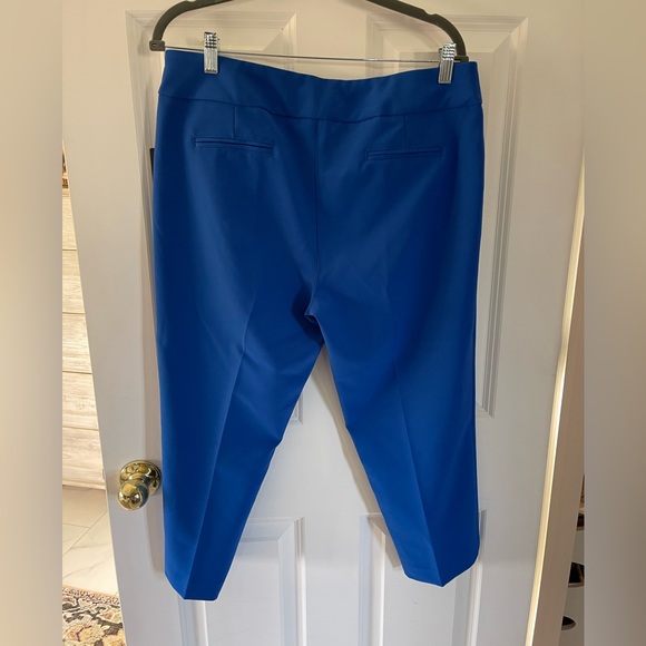 Zac & Rachel Cropped Pants - Picture 2 of 4